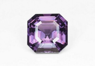 07DE81F0-6B85-49DB-B735-8452EAB96357