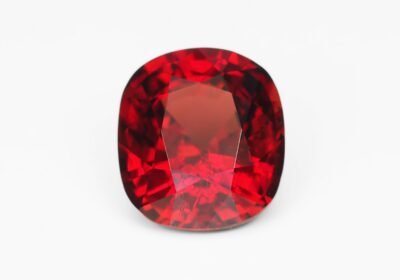 E5030B0A-FFC3-4ADC-AB3E-9BDC62B9E115